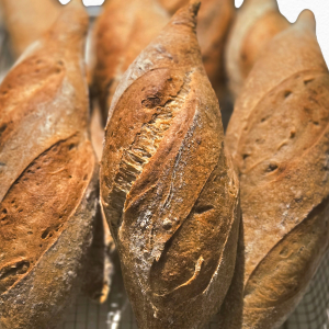 Sourdough Baguettes
